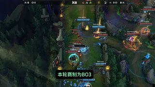 与对抗型储